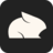 Lazy loaded image